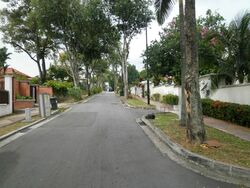 Braddell Heights Estate (D13), Detached #403325901